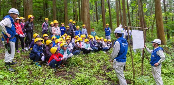 くじゅう九電の森　環境教育