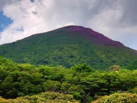 平治岳の南峰山頂から大戸越にかけてピンク色に染まっています