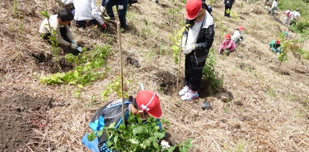 くじゅう九電の森　環境教育