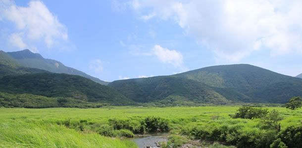 坊ガツル湿原 環境保全