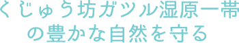 くじゅう坊ガツル湿原一帯の豊かな自然を守る