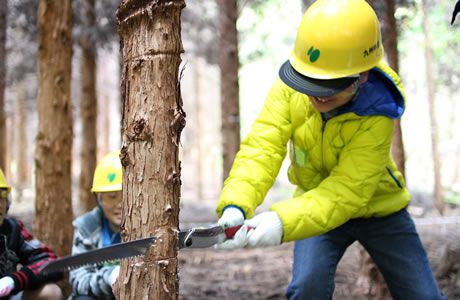 くじゅう九電の森　環境教育