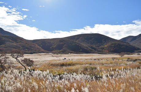 坊ガツル湿原　環境保全