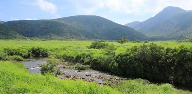 坊ガツル湿原　環境保全