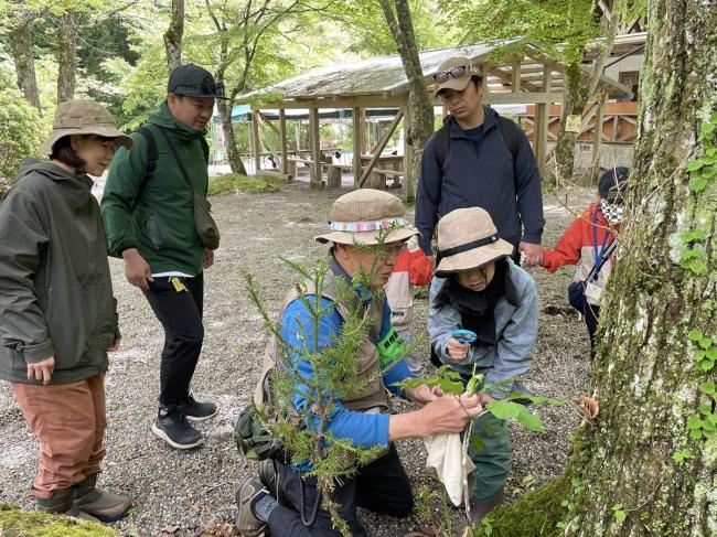 虫眼鏡で何が見えるかな？