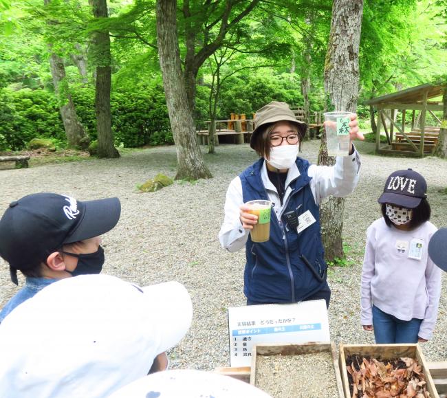 森の土を通った水は澄んでいますね！