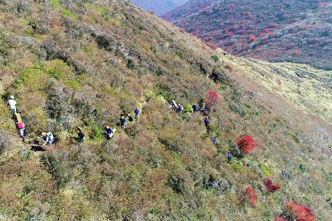 登山道整備班も板を担いで登っています。