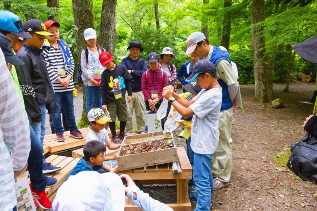 森の役割を実験で確認！