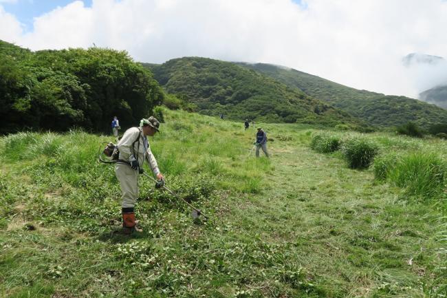 懸命に草刈りを続けて、