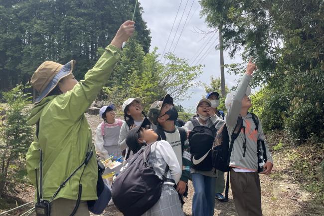 あそこに実がなっているよ！