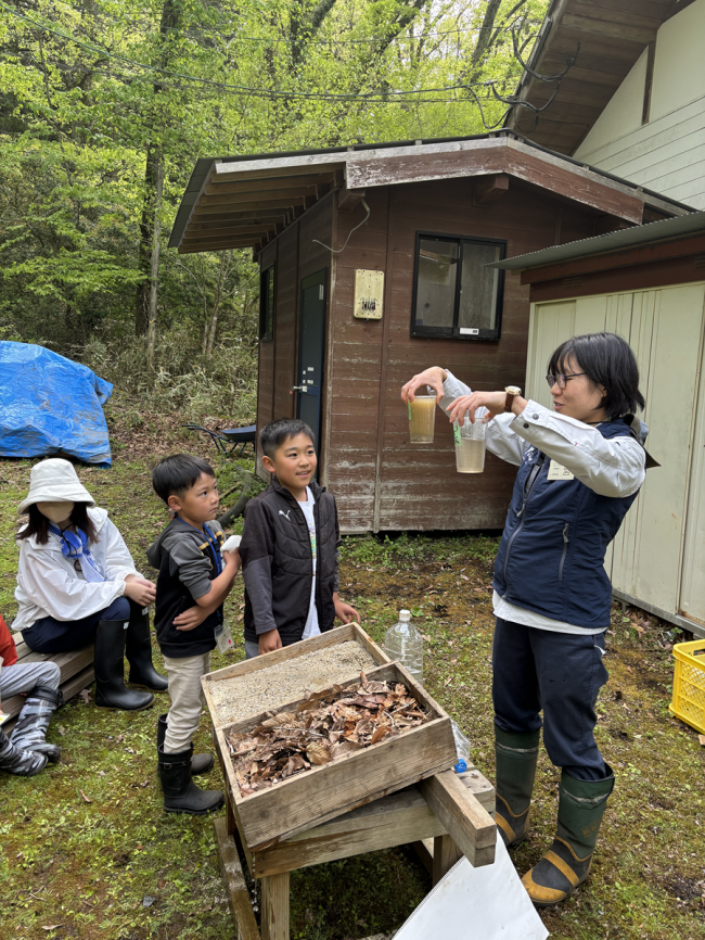 【森の役割実験】森の「水をたくわえる」役割を実験で確かめよう