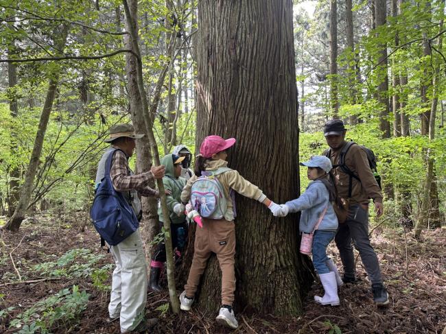 【森林散策】五感を使った森の散歩。森の秘密を探しにいこう！（無料）