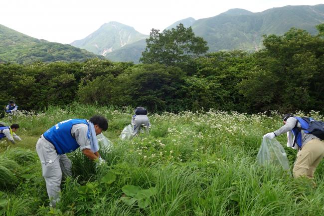 種が落ちないようビニール袋に入れて作業