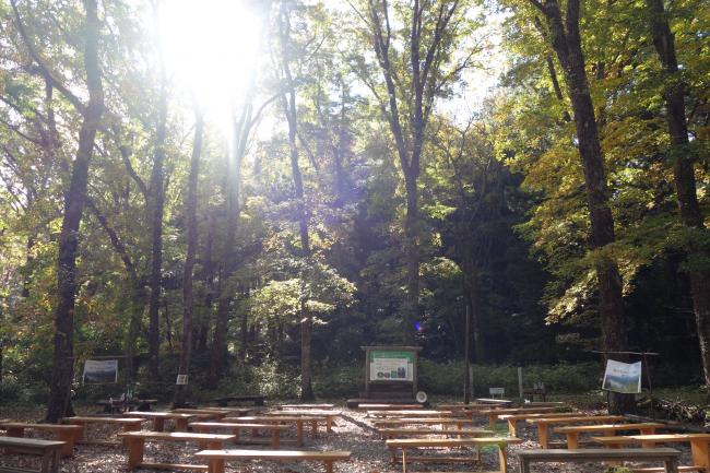 晴れた朝の森の教室です(^^)陽射しがきれい