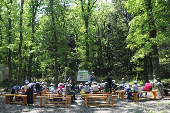 新緑の樹々に囲まれた森の教室