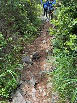 石を入れ込んだ登山道にチップを敷詰めることでより歩きやすくなりました