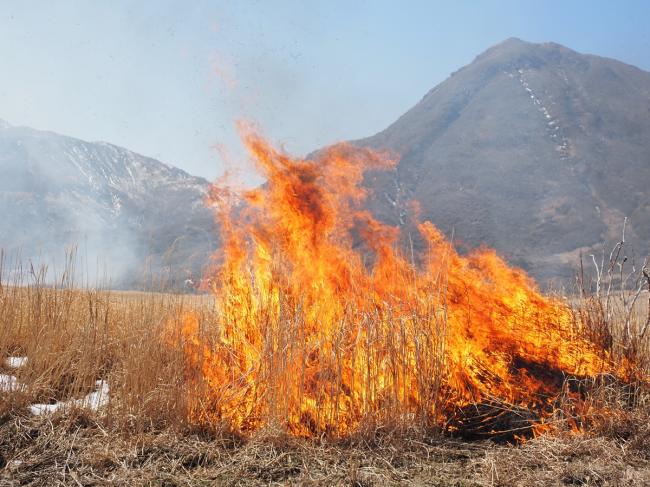 リーダーミーティングで注意事項を共有します