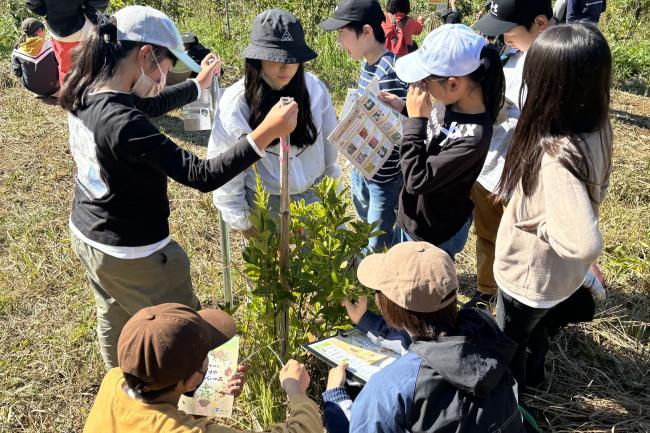 【いさはや】育林・観察体験