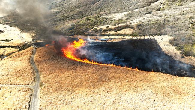 湿原を流れるように広がる炎