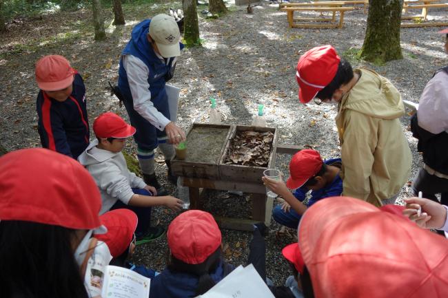 公園の土より森の土の方が水を貯えてるね