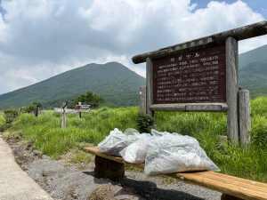 今回の外来植物の駆除では、90ℓのごみ袋3袋分となりました