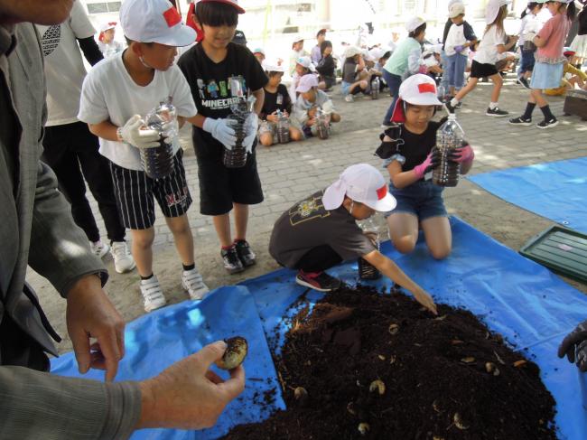 【小学校で「かぶと虫教室」】久留米市及び近郊の小学校9校、多世代食堂、保育園、コミュニティセンター土曜塾などでかぶと虫教室を実施し、約800匹を配布。