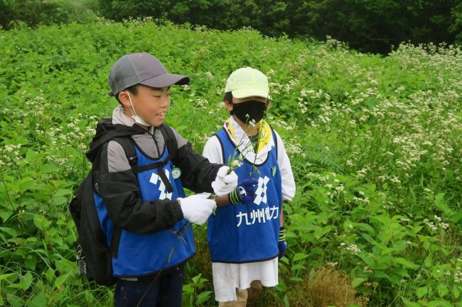 小学生も頑張って取り組んでくれました！