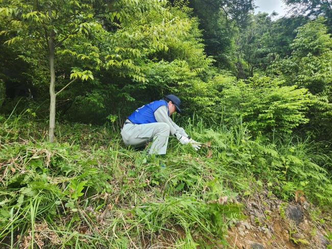 水田次長
