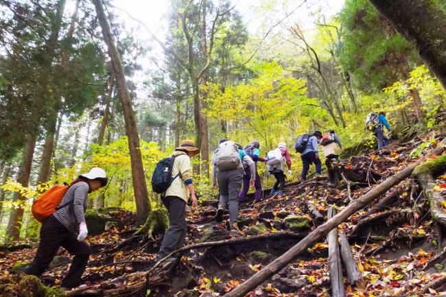 吉部からのキツイ登り道！
