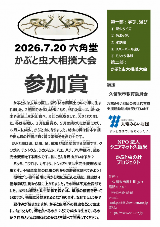 【かぶと虫相撲大会参加証】参加者全員に昆虫ゼリーと共に配りました。
