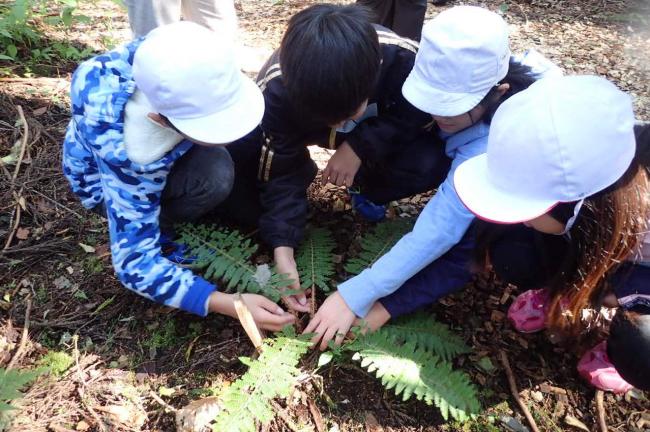 「イノデ」の触り心地を確認！