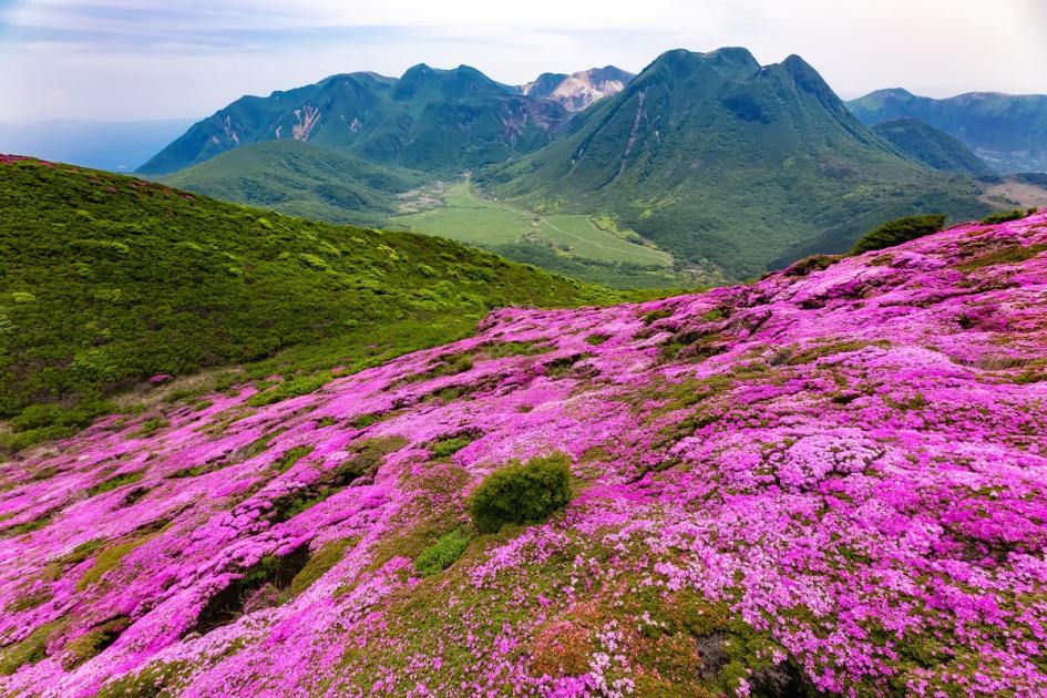 4e4f9e34abe71bdb6eb6d3cad274fc