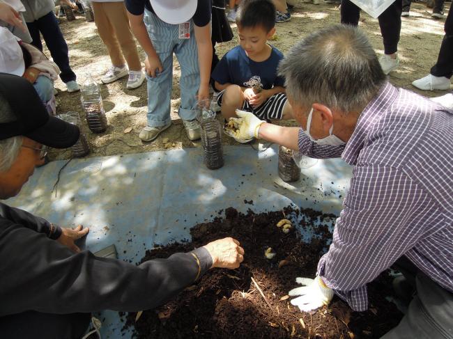 【小学校で「かぶと虫教室」】