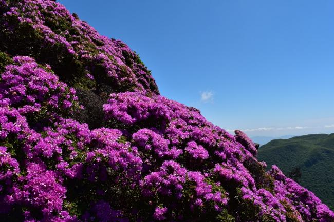 南峰を目指す途中の風景