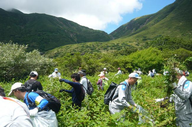 繁茂エリアは総力戦！