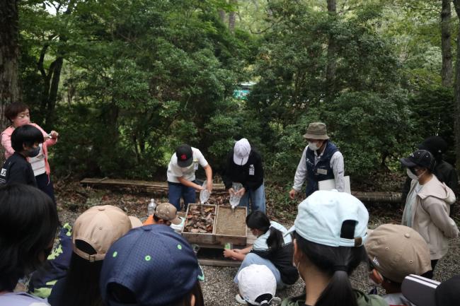 公園と森の土に水を流して森の役割を実験！