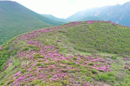 昨年秋と今年の春に活動を実施した場所付近です