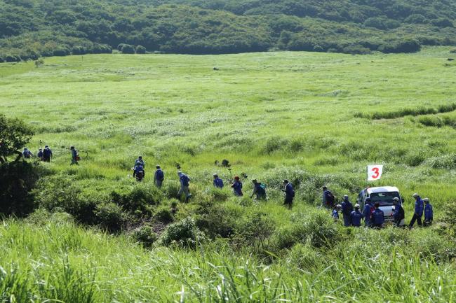 草が生い茂りたどり着くのも大変です！