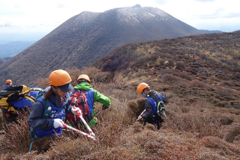 平治岳の「ミヤマキリシマ」を守ろう！ ～植生保護＆登山道整備活動を