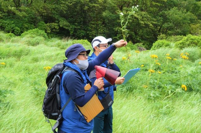 作業前に抜き取り方を説明。皆さんしっかり耳を傾けてくれました！