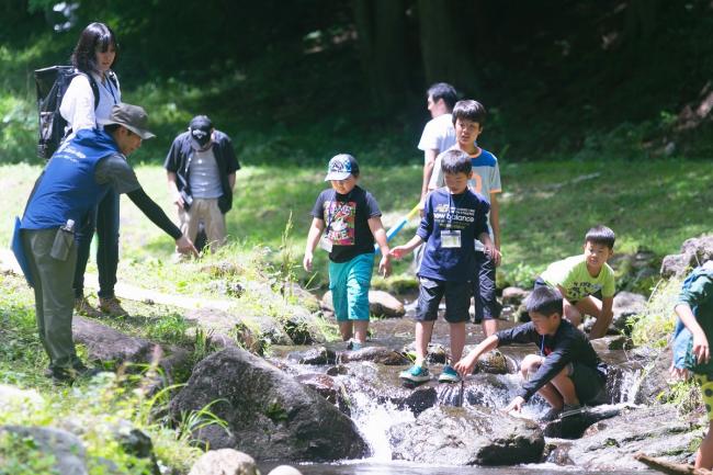 暑い日は小川が気持ちいい！