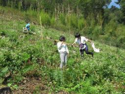 尾前里山保全の会