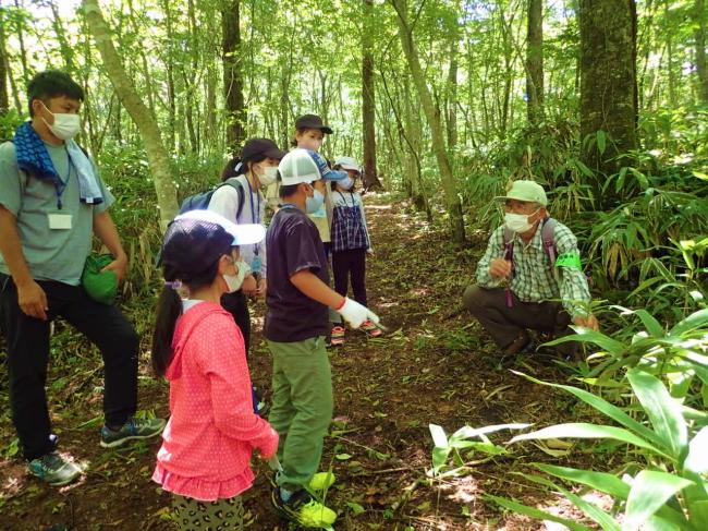 「森の探検」は、約800ｍの散策路で生き物や植物を観察します！