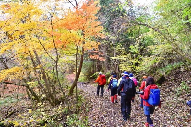 もう一方の班は吉部登山口から出発