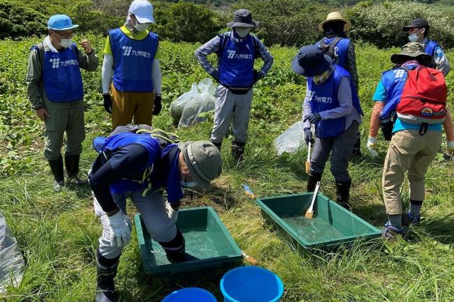 作業後は種が拡散しないよう長靴を洗浄