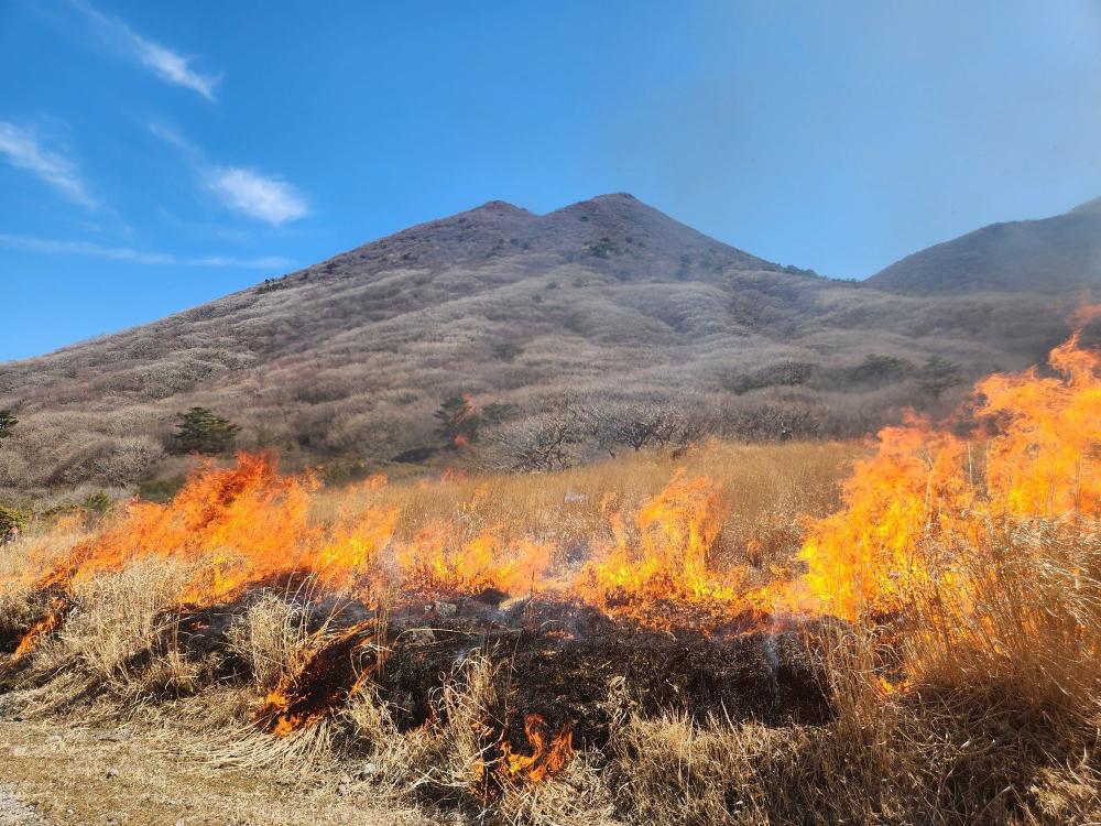 今年も坊ガツル湿原の野焼き(本焼き)の季節がやってきました!
