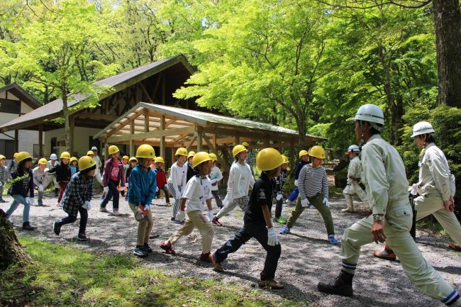 間伐作業の前はみんなで準備運動！