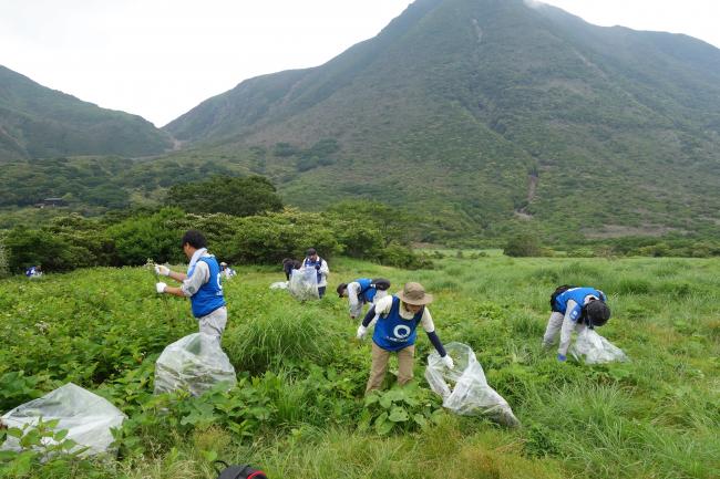 大群落のエリアでも地道な抜き取り作業が続きます！