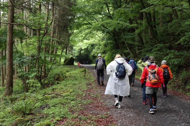 吉部登山口から坊ガツルに向けて出発