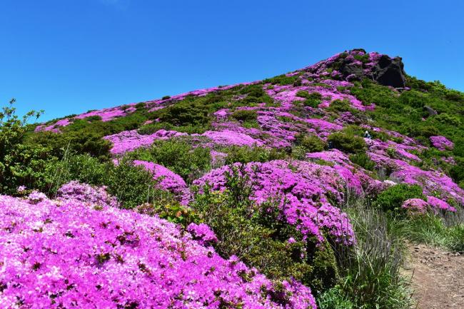 まさに圧巻の風景ですね～！